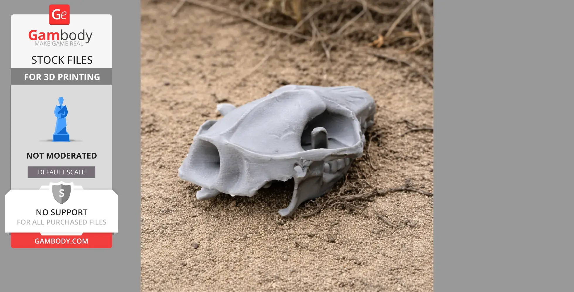 3D-printed African pygmy hedgehog skull on sandy ground.