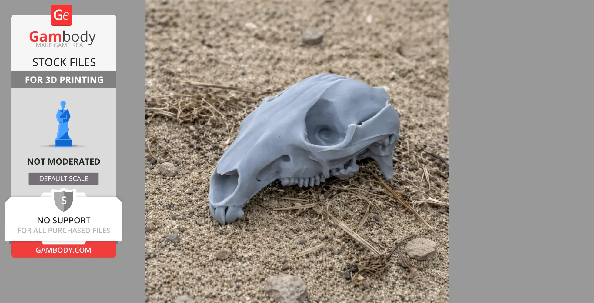 A 3D printed agile wallaby skull model resting on sandy ground.