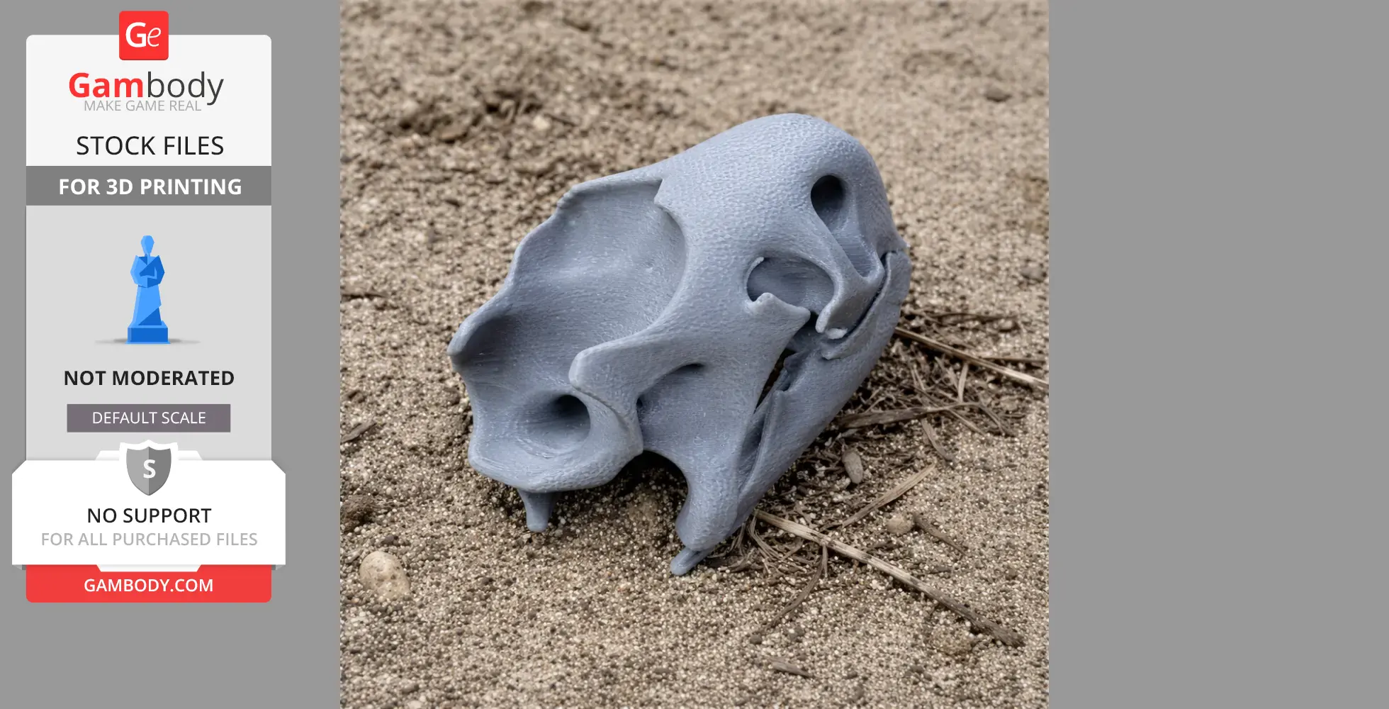Gray 3D-printed Aldabra tortoise skull model resting on sandy ground.