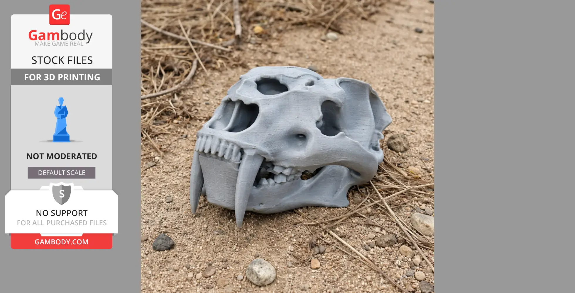 A 3D-printed Amphimachairodus skull model on sandy ground with scattered twigs.