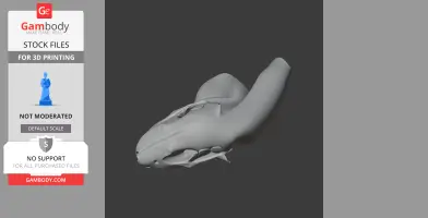 Amur Hedgehog Skull