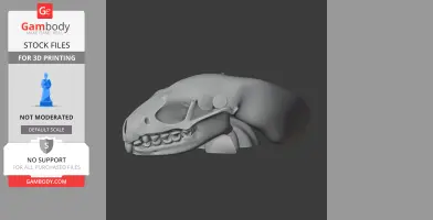 Amur Hedgehog Skull