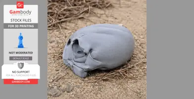Anomalopteryx didiformis Skull
