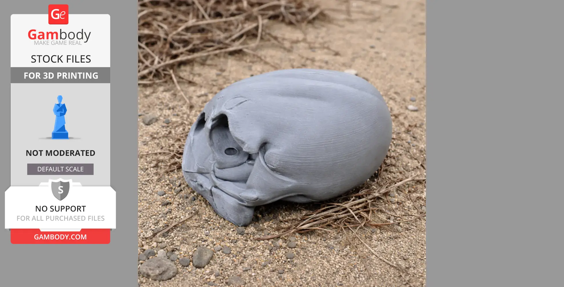 Gray 3D-printed Anomalopteryx didiformis skull lying on sandy ground with twigs.