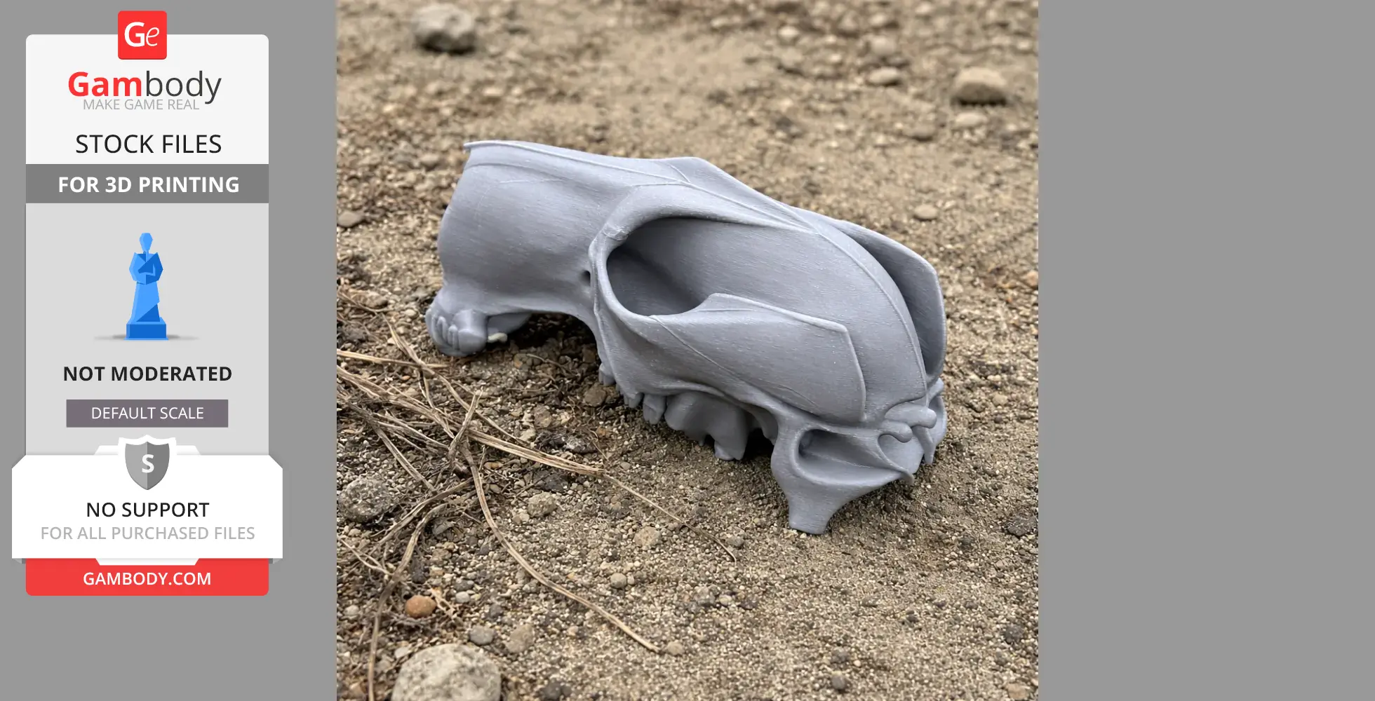 3D printed model of an antilopine kangaroo skull resting on rocky ground.