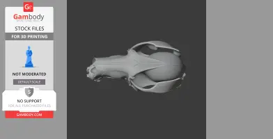 Antilopine Kangaroo Skull
