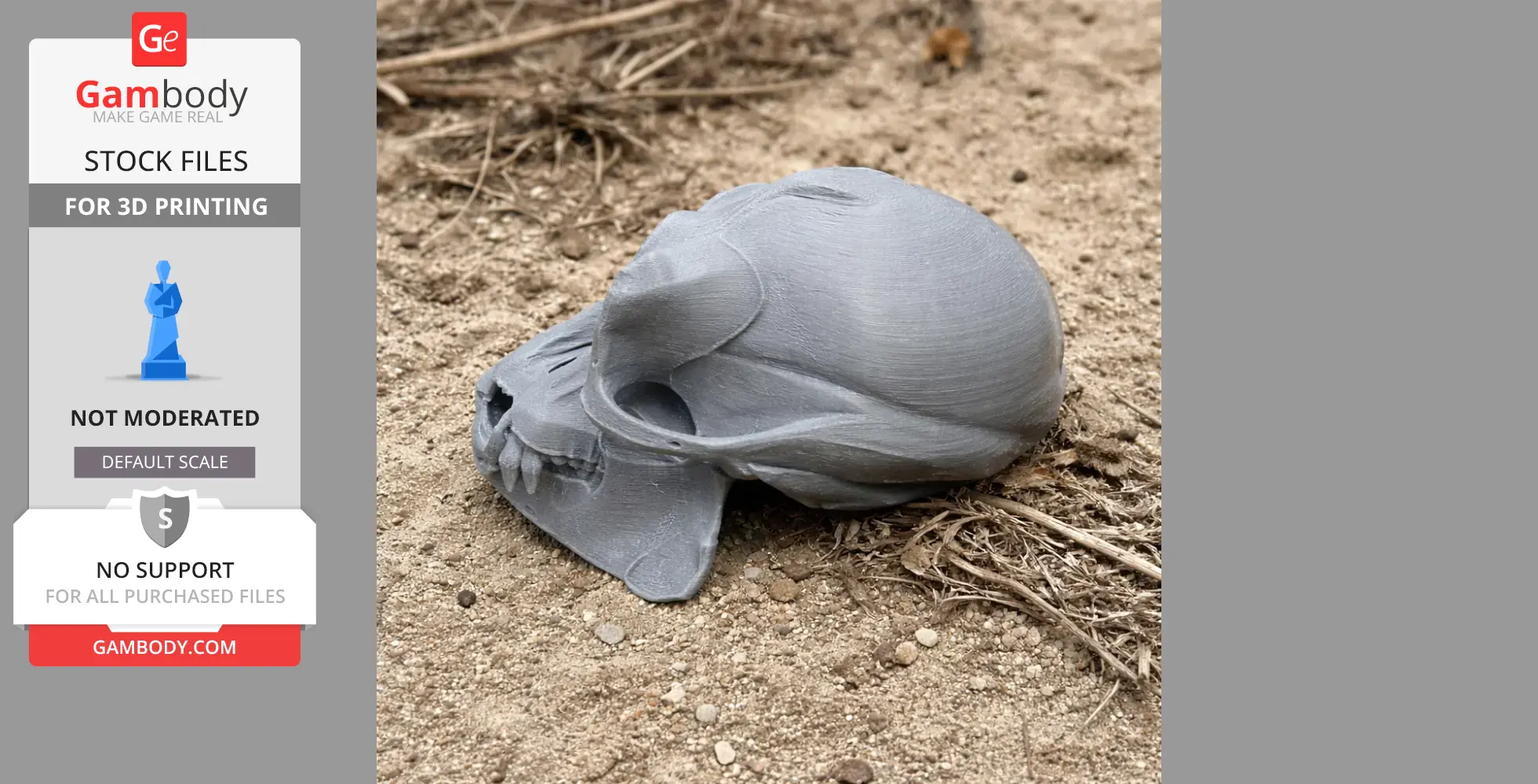 A detailed 3D-printed Apidium skull resting on textured soil outdoors.