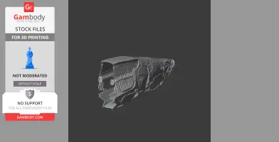 Arapaima gigas Skull