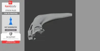Araripesuchus Skull