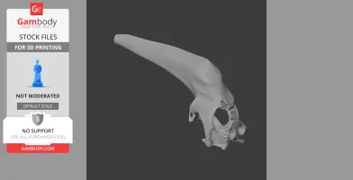 Araripesuchus Skull