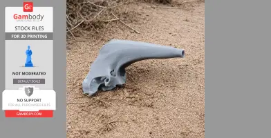 Araripesuchus Skull