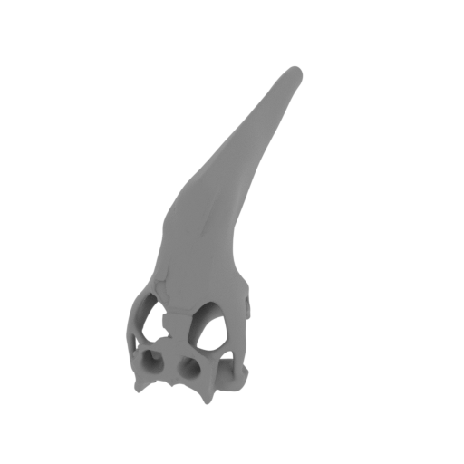 Araripesuchus Skull.stl