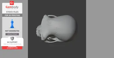 Ardipithecus Skull