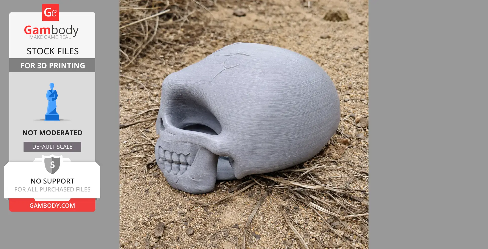 3D-printed Ardipithecus skull model rests on sandy ground.