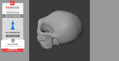 Ardipithecus Skull