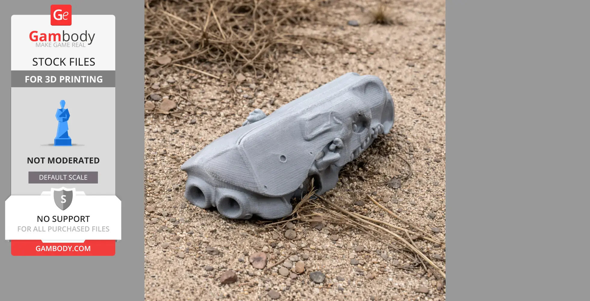 A 3D-printed gray armored shrew skull model on sandy ground with scattered rocks and dry grass.