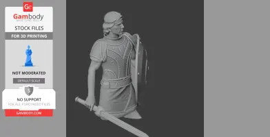 Diomedes Ancient Warrior