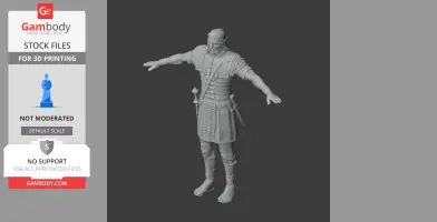 Drusus Roman Legionary