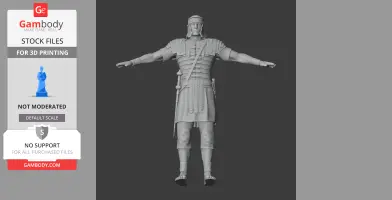 Drusus Roman Legionary
