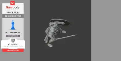Flavius Aetius Roman Legionary