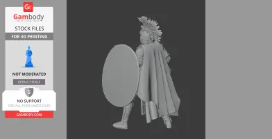 Flavius Aetius Roman Legionary
