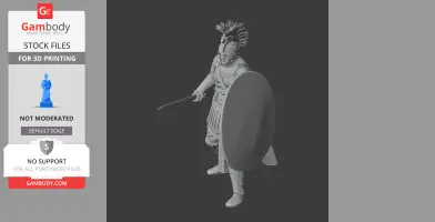 Flavius Aetius Roman Legionary