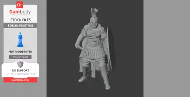 Flavius Aetius Roman Legionary