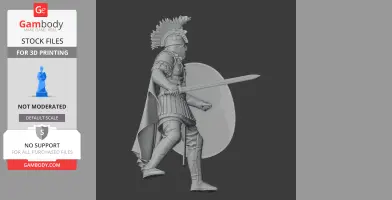 Flavius Aetius Roman Legionary