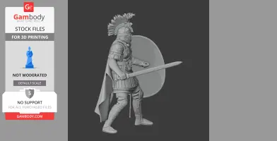 Flavius Aetius Roman Legionary