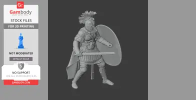 Flavius Aetius Roman Legionary