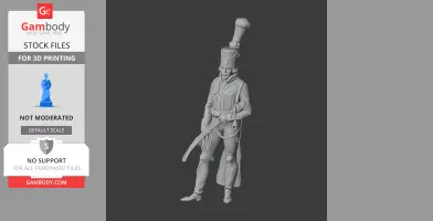 Gebhard Blucher Napoleonic Soldier