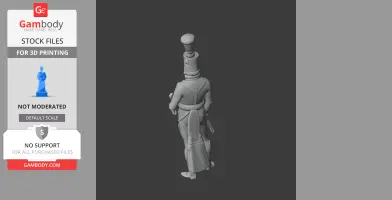Gebhard Blucher Napoleonic Soldier