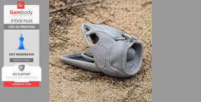 Asian Arowana Skull