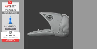 Asian Arowana Skull