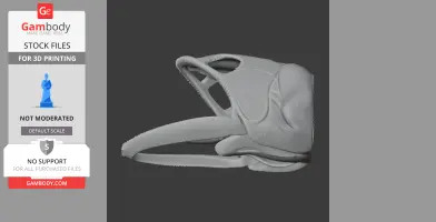Asian Arowana Skull
