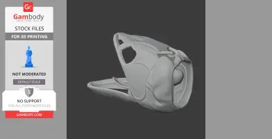 Asian Arowana Skull