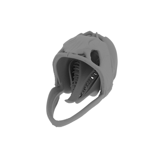 Asian Arowana Skull.stl