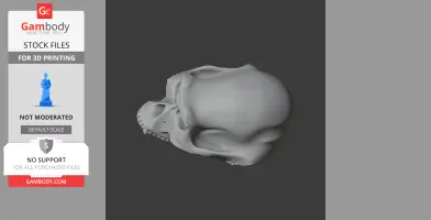 Australopithecus Skull