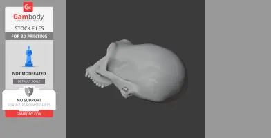 Australopithecus Skull