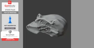 Australopithecus Skull