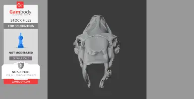 Barbourofelis Skull