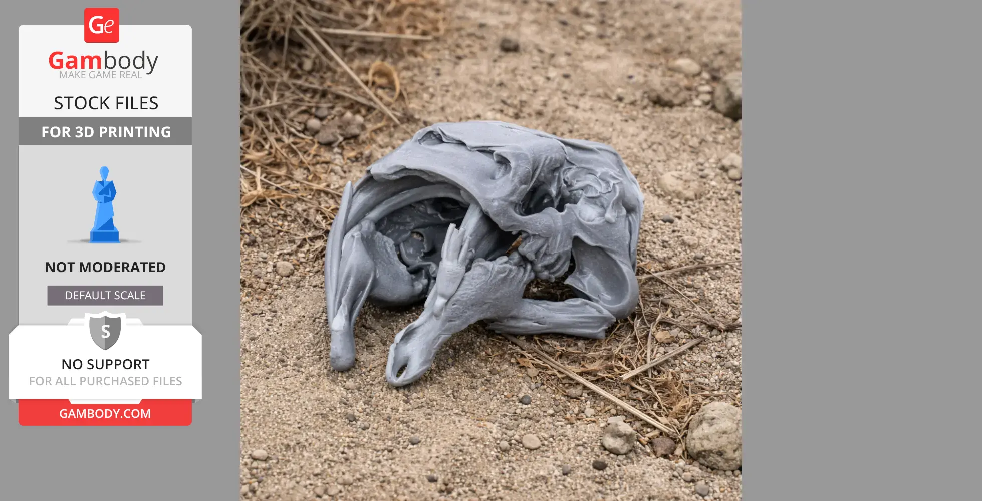 3D-printed Barbourofelis skull on sandy ground with rocks and dry grass.