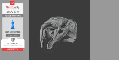 Barbourofelis Skull