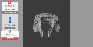 Barbourofelis Skull