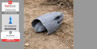 3D printed blue-tongued skink skull model on sandy ground with dry grass.