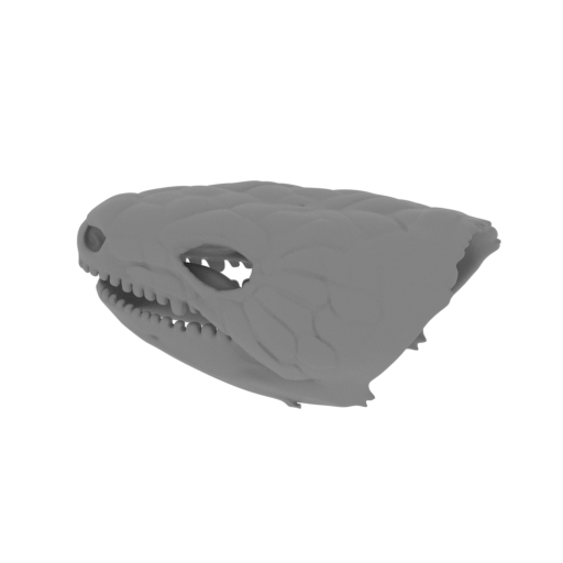 Blue-tongued Skink Skull.stl