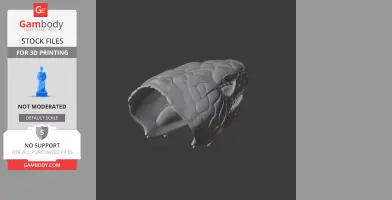 3D model of a blue-tongued skink skull, displaying textured details, suitable for 3D printing.