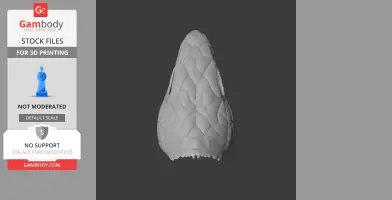 3D model of a blue-tongued skink skull, viewed from above, showcasing textured details.