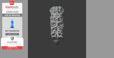 3D model of Brontornis burmeisteri skull, detailed with intricate bone structures.