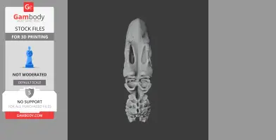 3D model of a Brontornis burmeisteri skull viewed from the top, showing detailed bone structure.